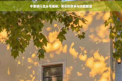 中国银行流水号揭秘,背后的故事与功能解读 中国银行流水号揭秘,背后的故事与功能解读
