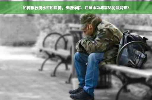 招商银行流水打印指南，步骤详解、注意事项与常见问题解答?