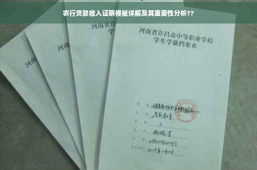 农行贷款收入证明模板详解及其重要性分析??