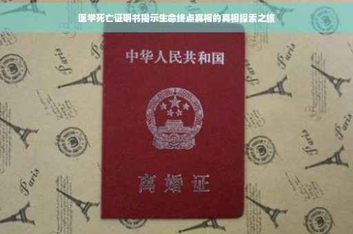 医学死亡证明书揭示生命终点真相的真相探索之旅