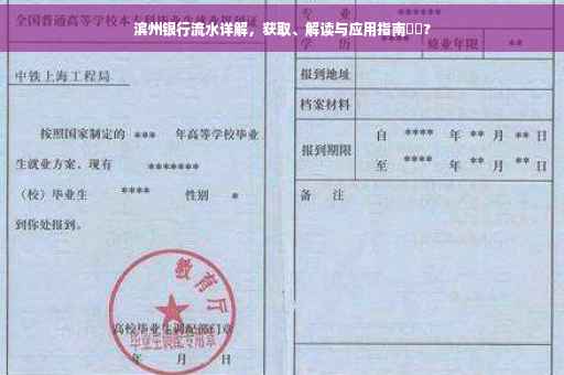 滨州银行流水详解，获取、解读与应用指南⚡️?
