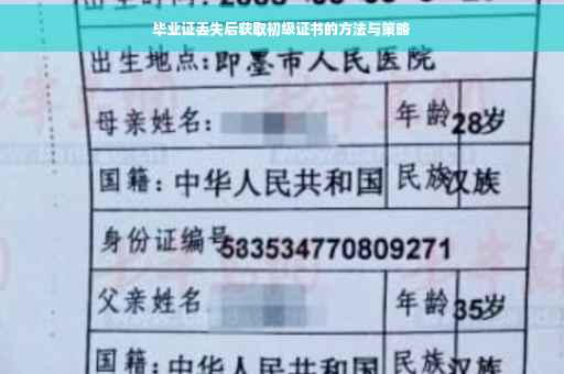 毕业证丢失后获取初级证书的方法与策略