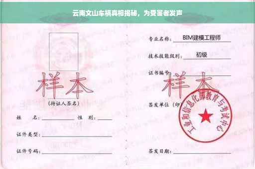 云南文山车祸真相揭秘，为受害者发声