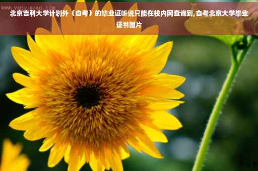 北京吉利大学计划外（自考）的毕业证听说只能在校内网查询到,自考北京大学毕业证书图片
