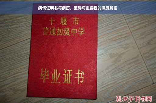 病情证明书与病历，差异与重要性的深度解读