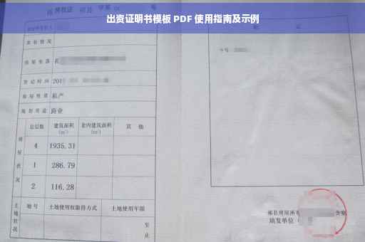 出资证明书模板 PDF 使用指南及示例