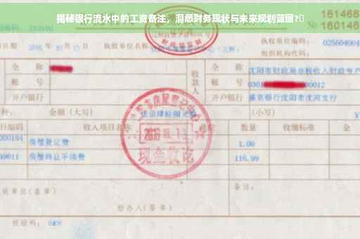 揭秘银行流水中的工资备注，洞悉财务现状与未来规划蓝图?✨