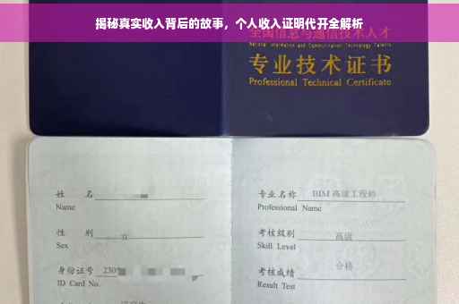 揭秘真实收入背后的故事，个人收入证明代开全解析
