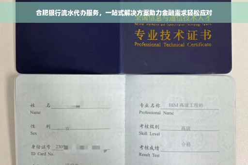 合肥银行流水代办服务，一站式解决方案助力金融需求轻松应对