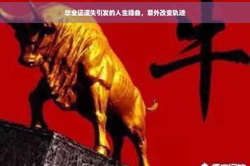 毕业证遗失引发的人生插曲，意外改变轨迹