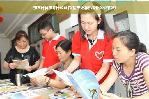 初学计算机考什么证书(初学计算机考什么证书好)