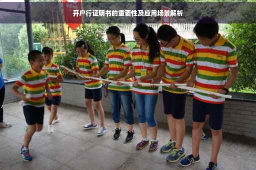 开户行证明书的重要性及应用场景解析