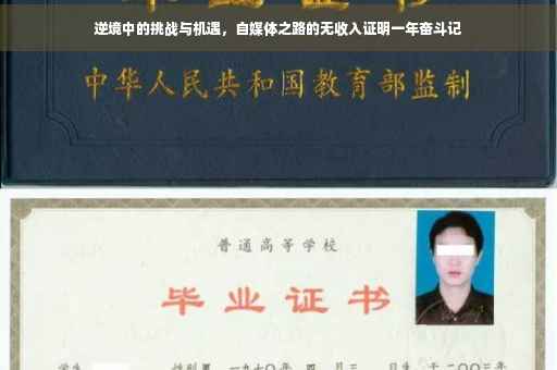 逆境中的挑战与机遇，自媒体之路的无收入证明一年奋斗记