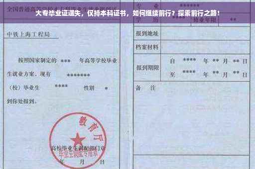 大专毕业证遗失，仅持本科证书，如何继续前行？探索前行之路！