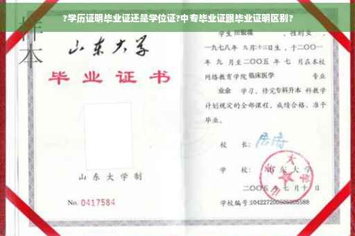 ?学历证明毕业证还是学位证?中专毕业证跟毕业证明区别?