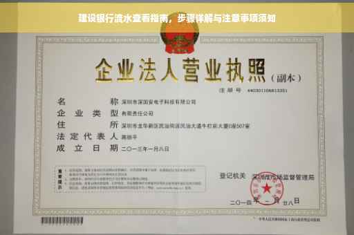 建设银行流水查看指南，步骤详解与注意事项须知