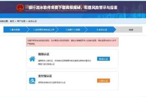 银行流水软件免费下载真相揭秘，犯罪风险警示与探索