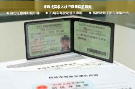 家庭成员收入状况证明详解指南
