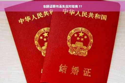 车辆证明书丢失应对指南 ??
