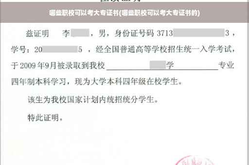 哪些职校可以考大专证书(哪些职校可以考大专证书的)