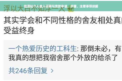 信用社个人收入证明与贷款申请，步骤、注意事项详解