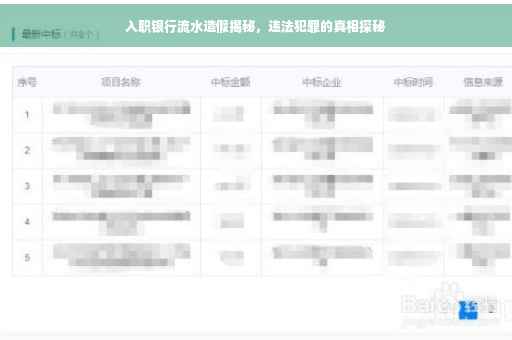 入职银行流水造假揭秘，违法犯罪的真相探秘