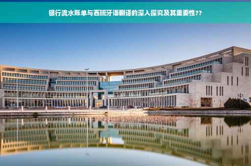 银行流水账单与西班牙语翻译的深入探究及其重要性??