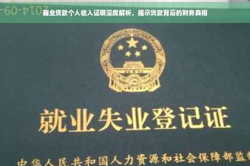 商业贷款个人收入证明深度解析，揭示贷款背后的财务真相