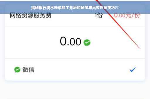 揭秘银行流水账单加工背后的秘密与高效处理技巧?✨