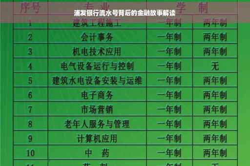 浦发银行流水号背后的金融故事解读
