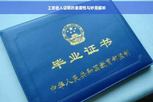 工资收入证明的重要性与妙用解析