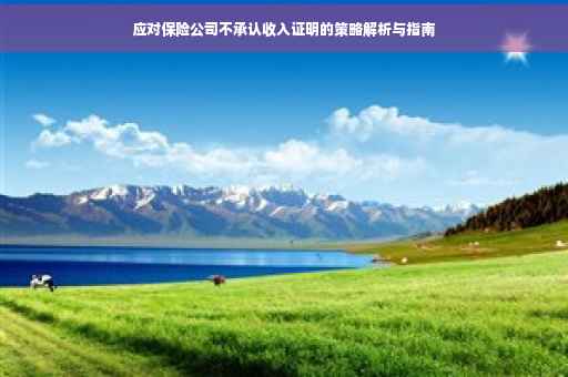 应对保险公司不承认收入证明的策略解析与指南