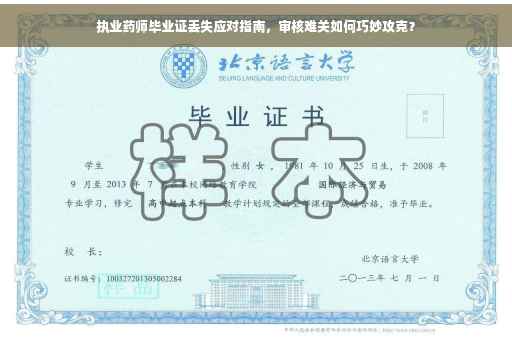 执业药师毕业证丢失应对指南，审核难关如何巧妙攻克？