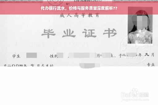 代办银行流水，价格与服务质量深度解析??