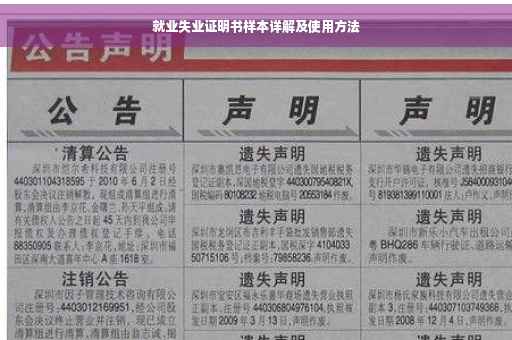 就业失业证明书样本详解及使用方法
