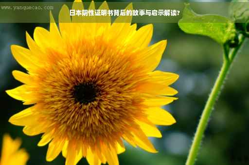 日本阴性证明书背后的故事与启示解读?