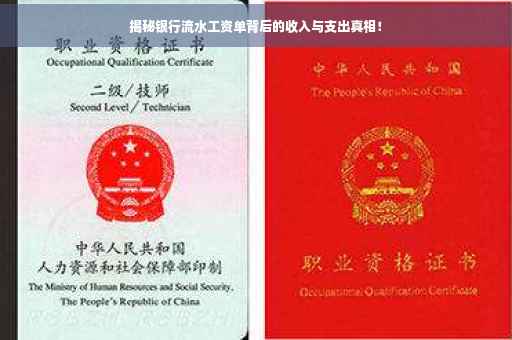 揭秘银行流水工资单背后的收入与支出真相！