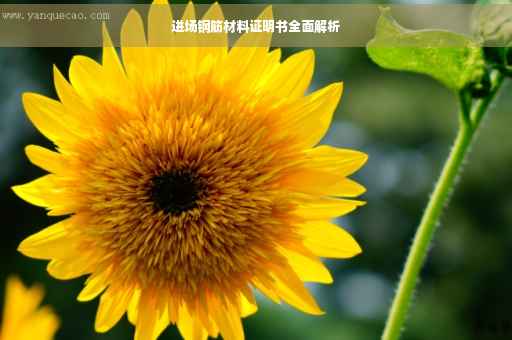 进场钢筋材料证明书全面解析