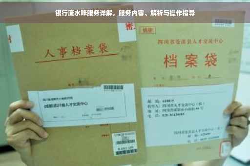 银行流水账服务详解，服务内容、解析与操作指导