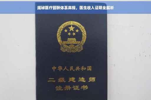揭秘医疗薪酬体系真相，医生收入证明全解析