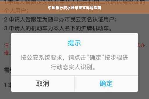中国银行流水账单英文详解指南