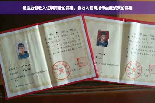 揭露虚假收入证明背后的真相，伪收入证明揭示虚假繁荣的真相