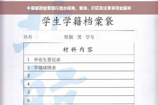 中国邮政储蓄银行流水指南，查询、打印及注意事项全解析