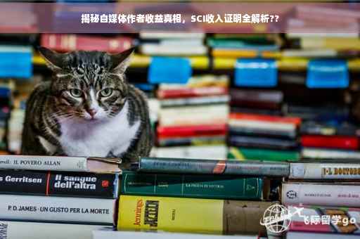 揭秘自媒体作者收益真相，SCI收入证明全解析??