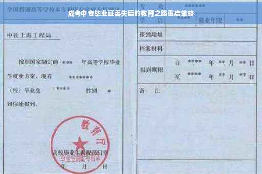 成考中专毕业证丢失后的教育之路重启策略