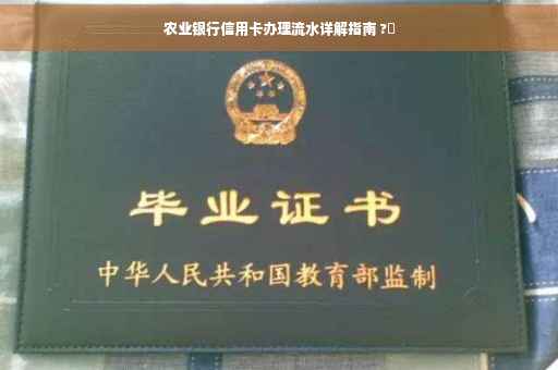 农业银行信用卡办理流水详解指南 ?✨