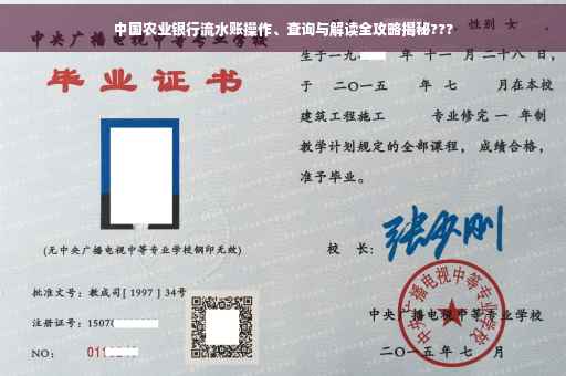 中国农业银行流水账操作、查询与解读全攻略揭秘???