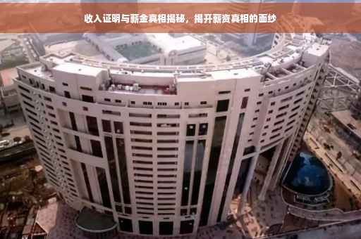 收入证明与薪金真相揭秘，揭开薪资真相的面纱