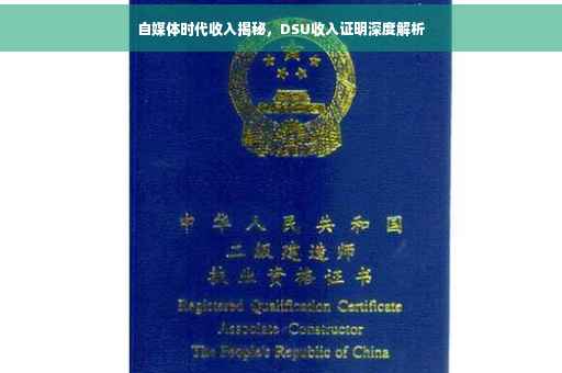自媒体时代收入揭秘，DSU收入证明深度解析