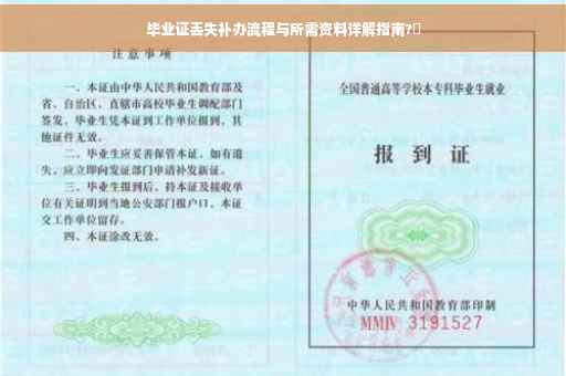 毕业证丢失补办流程与所需资料详解指南?✨